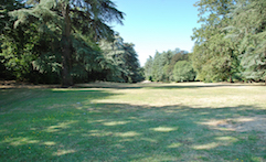 Villa di Corte