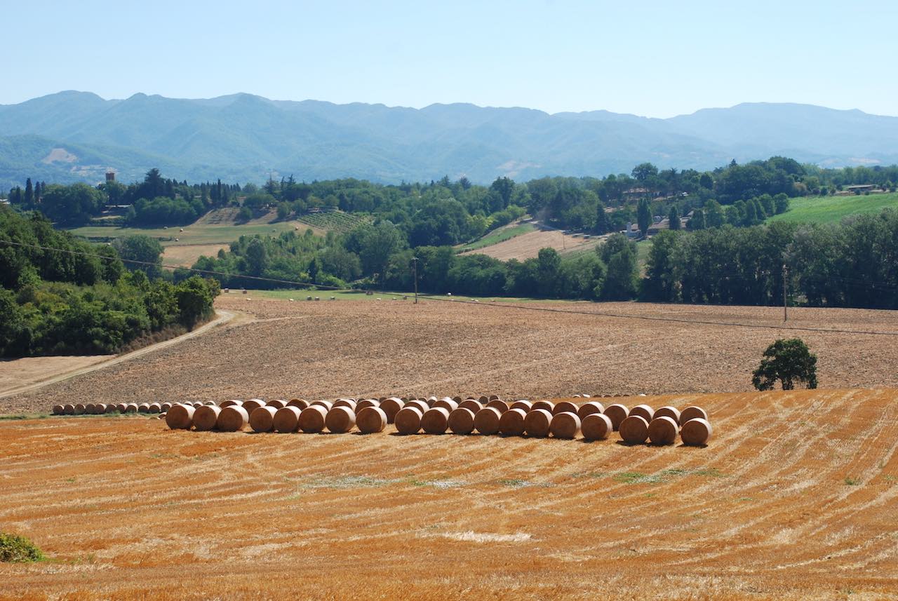 IL Mugello